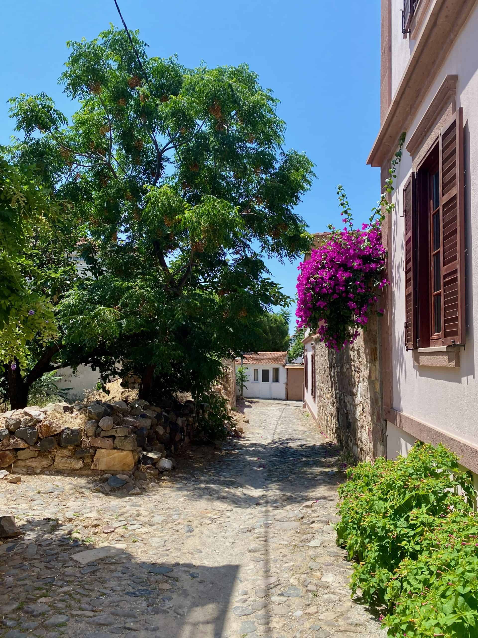 A cobblestone street with bougainvillea in Cunda Island.