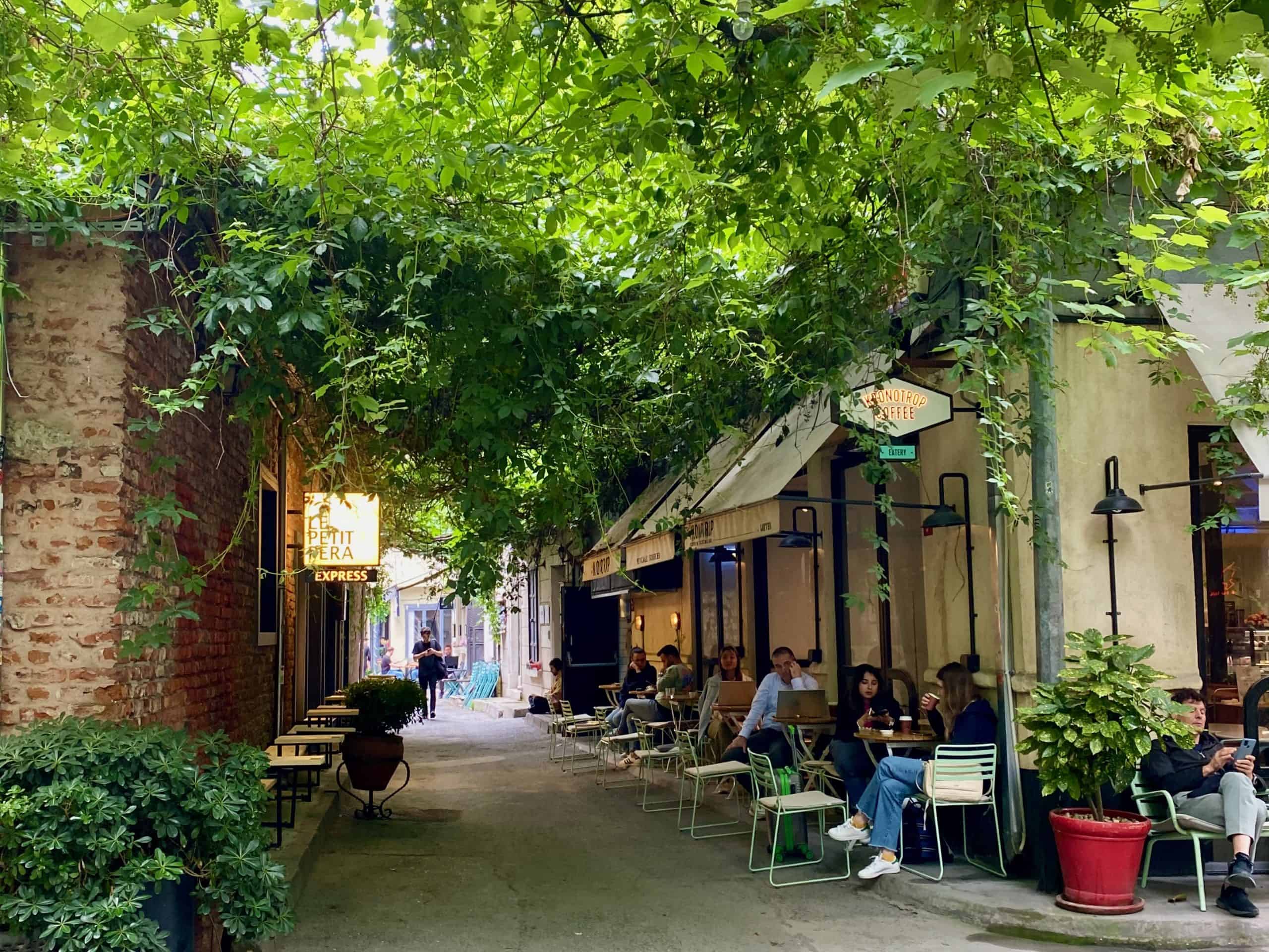 View of a street in Karakoy covered by vine leaves and line with cafes.