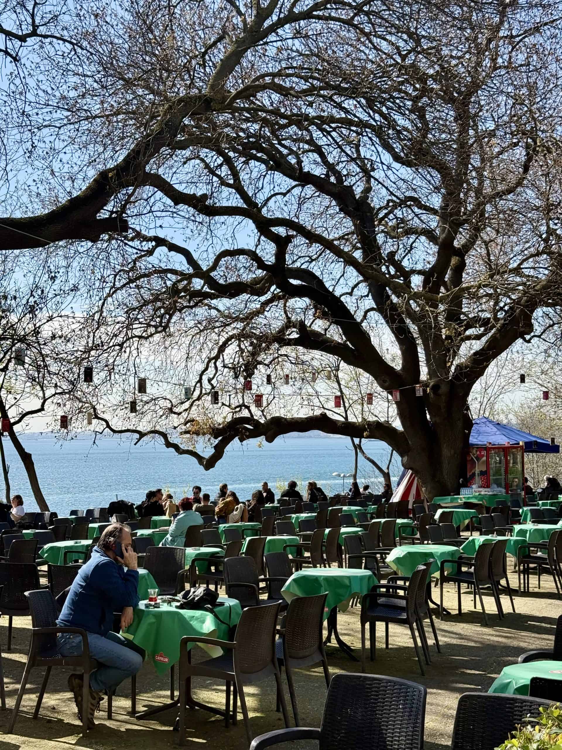 Traditional Turkish tea garden in Moda, Istanbul