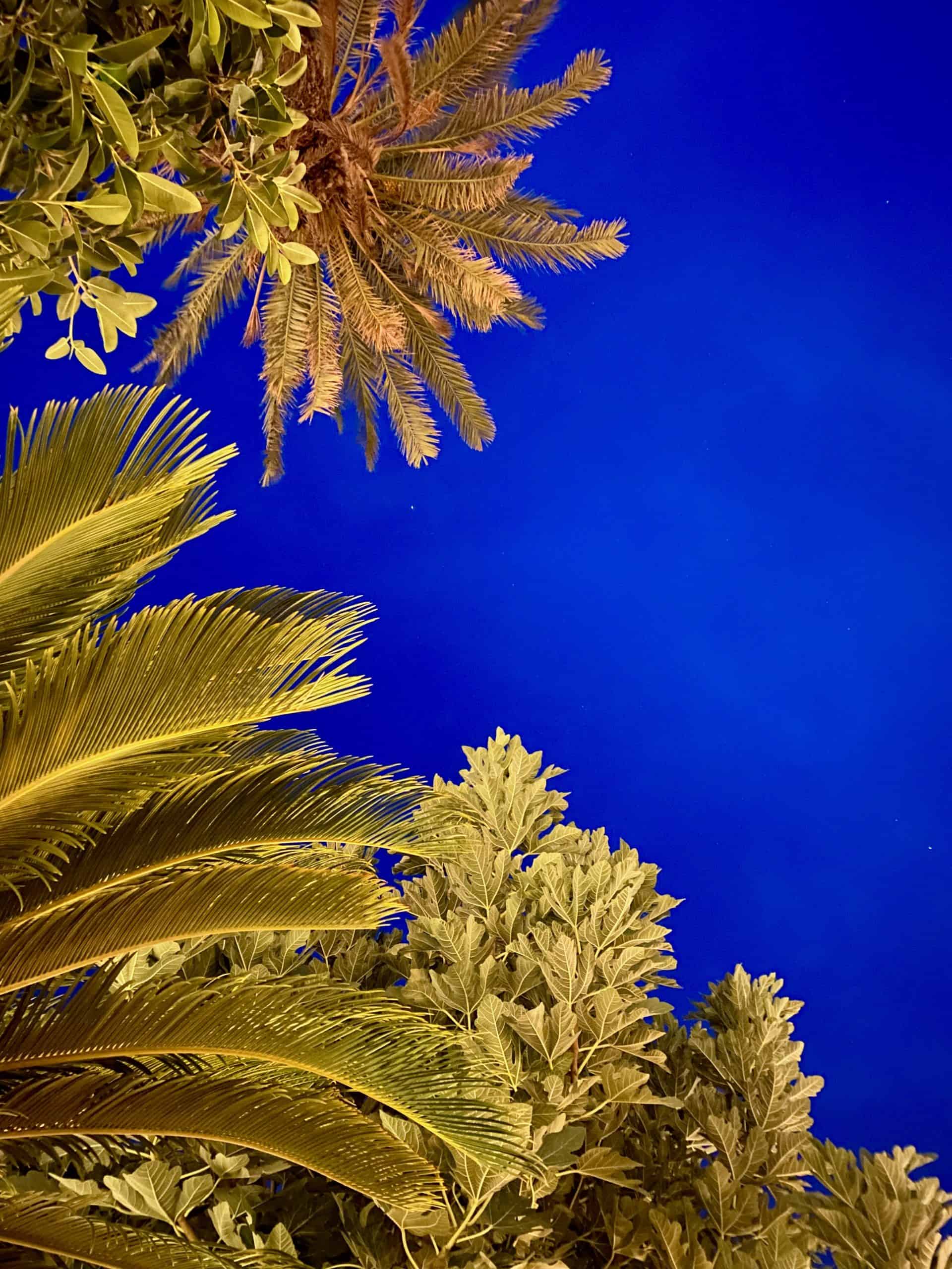 View of the sky and trees in Alaçatı